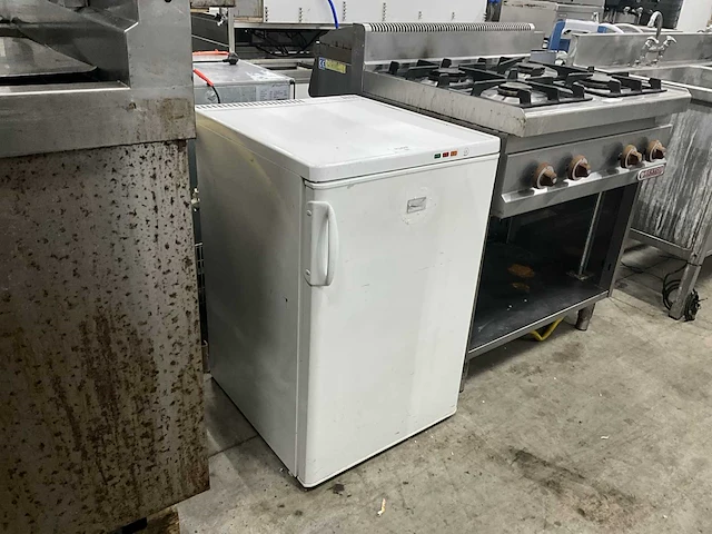 Zanussi tt 110f vrieskast - afbeelding 1 van  5