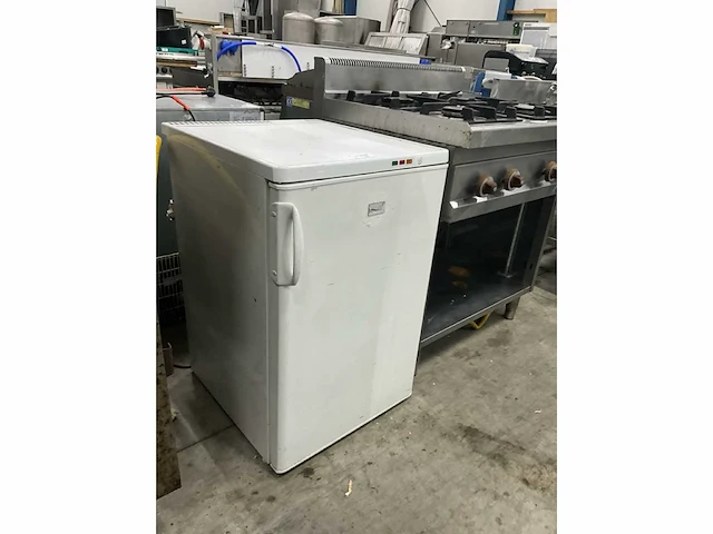 Zanussi tt 110f vrieskast - afbeelding 2 van  5