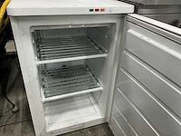 Zanussi tt 110f vrieskast - afbeelding 4 van  5