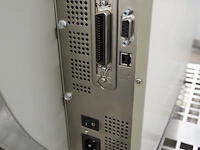 Zebra - afbeelding 4 van  7