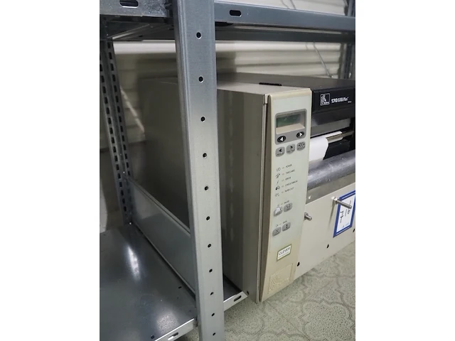 Zebra - afbeelding 3 van  7