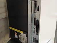 Zebra - afbeelding 4 van  7