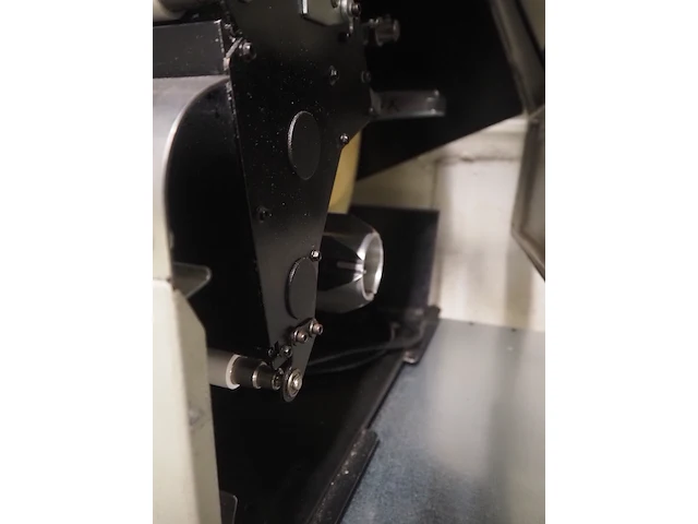 Zebra - afbeelding 5 van  7