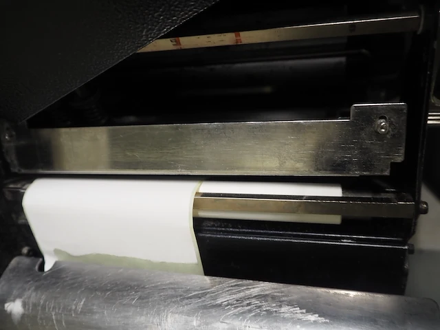 Zebra - afbeelding 6 van  7