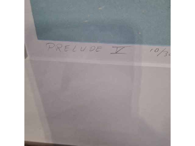 Zeefdruk, frits droog, prelude v 10/30, 2002 - afbeelding 5 van  9