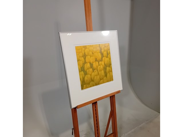 Zeefdruk, hans dolieslager, dutch yellow 3/40, 1997 - afbeelding 3 van  10