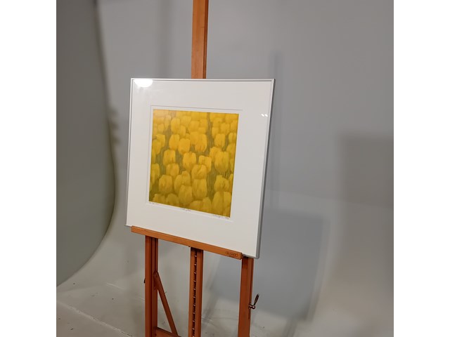 Zeefdruk, hans dolieslager, dutch yellow 3/40, 1997 - afbeelding 4 van  10