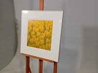 Zeefdruk, hans dolieslager, dutch yellow 3/40, 1997 - afbeelding 4 van  10