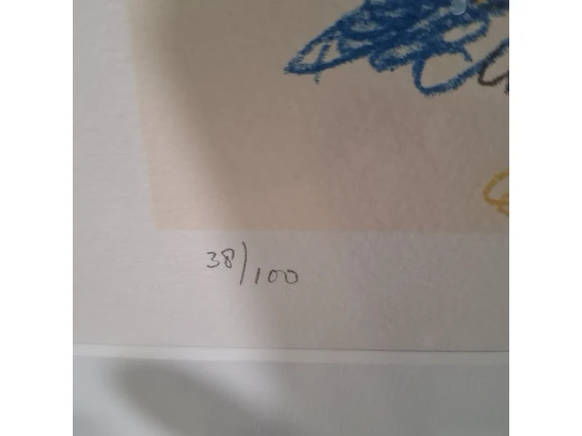 Zeefdruk, kees salentijn, 38/100 - afbeelding 5 van  9