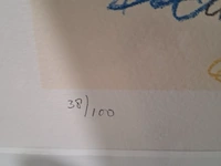 Zeefdruk, kees salentijn, 38/100 - afbeelding 5 van  9