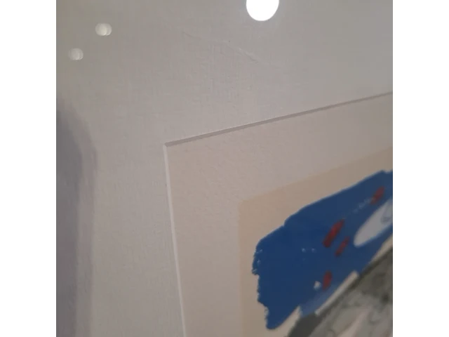 Zeefdruk, kees salentijn, 38/100 - afbeelding 6 van  9