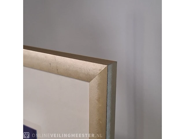 Zeefdruk maya wildevuur (1944-2023), verenigd europa, bouwjaar 1993 - afbeelding 9 van  10