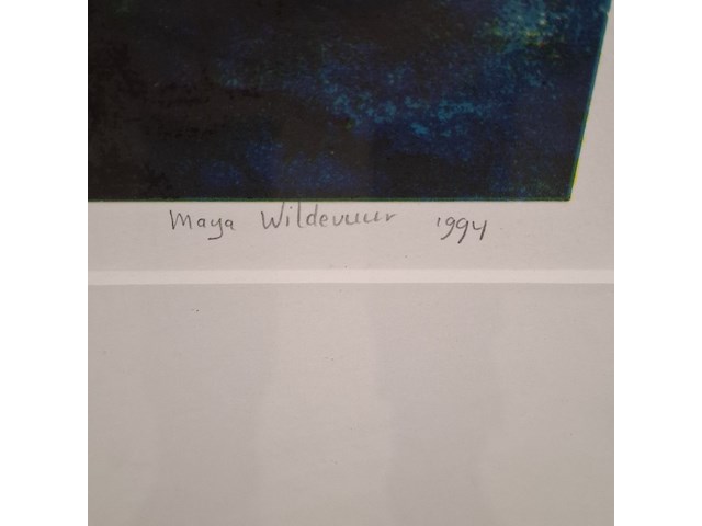 Zeefdruk, maya wildevuur (1944-2023), vogel vis, 1994 - afbeelding 7 van  10