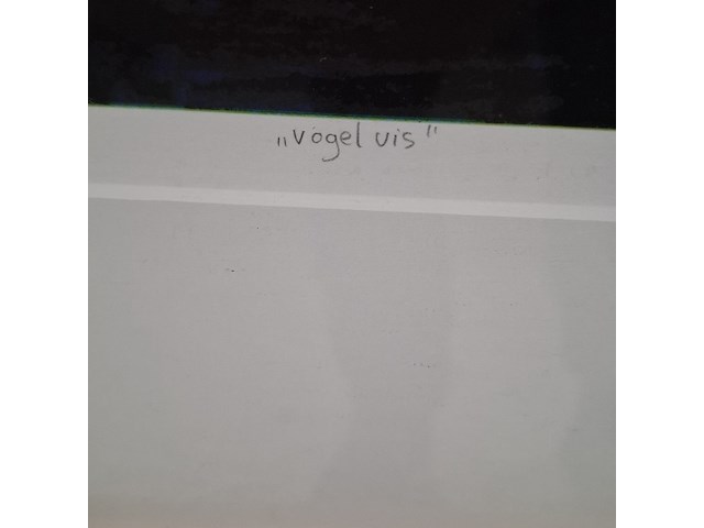 Zeefdruk, maya wildevuur (1944-2023), vogel vis, 1994 - afbeelding 8 van  10