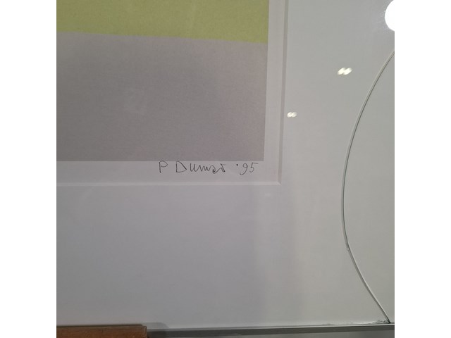 Zeefdruk, peter dumas, colour locale 20/50, 1995 - afbeelding 5 van  9