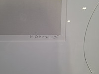 Zeefdruk, peter dumas, colour locale 20/50, 1995 - afbeelding 5 van  9