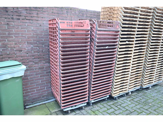 Zeelandia broodkratten (46x) - afbeelding 1 van  3