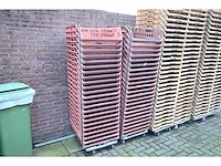 Zeelandia broodkratten (46x) - afbeelding 1 van  3