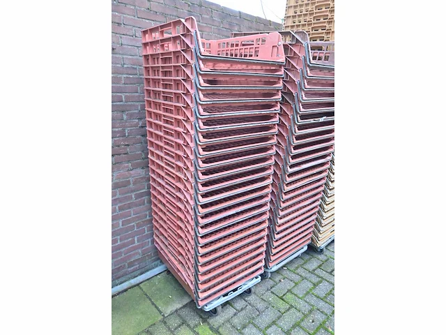 Zeelandia broodkratten (46x) - afbeelding 2 van  3