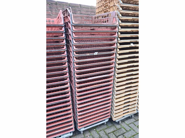Zeelandia broodkratten (46x) - afbeelding 3 van  3