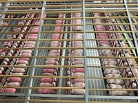 Zeugenstal 1:32 - afbeelding 13 van  15