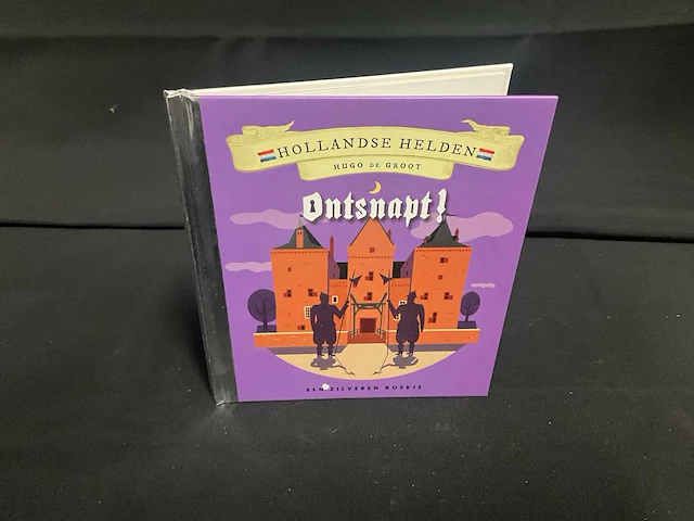 Zilvervloot jeugdboek (72x) - afbeelding 2 van  18