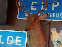 Zingend hertenkop buck - afbeelding 2 van  6
