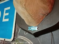 Zingend hertenkop buck - afbeelding 5 van  6