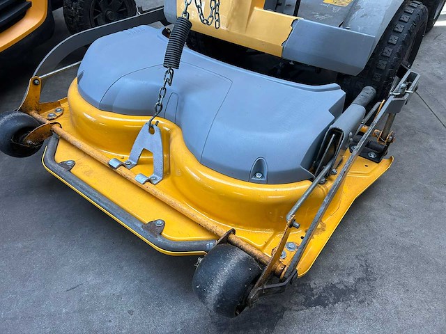 Zitmaaier (3x) - afbeelding 8 van  10