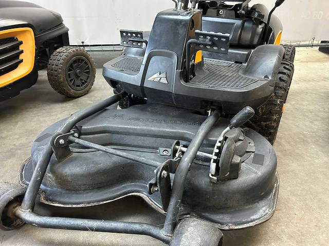 Zitmaaier (3x) - afbeelding 7 van  10