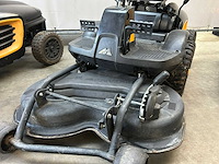 Zitmaaier (3x) - afbeelding 7 van  10