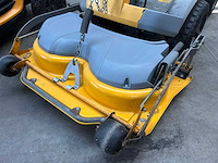 Zitmaaier (3x) - afbeelding 8 van  10