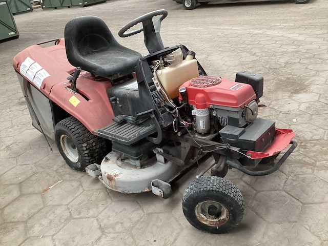 Zitmaaier - afbeelding 2 van  7