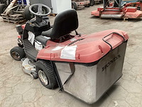 Zitmaaier - afbeelding 4 van  7