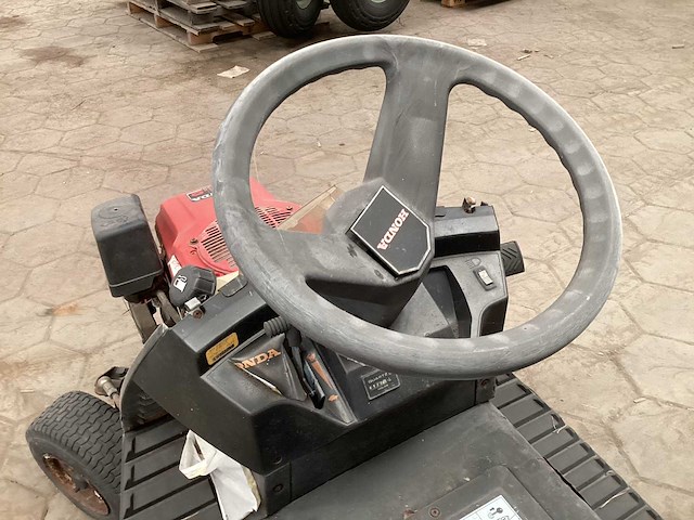 Zitmaaier - afbeelding 6 van  7