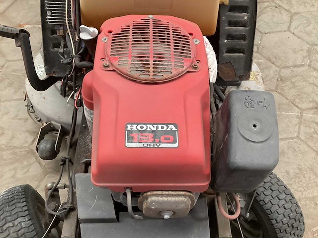 Zitmaaier - afbeelding 7 van  7