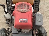 Zitmaaier - afbeelding 7 van  7