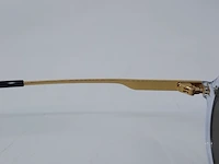 Zonnebril carrera, 1020s 900t4 - afbeelding 11 van  14