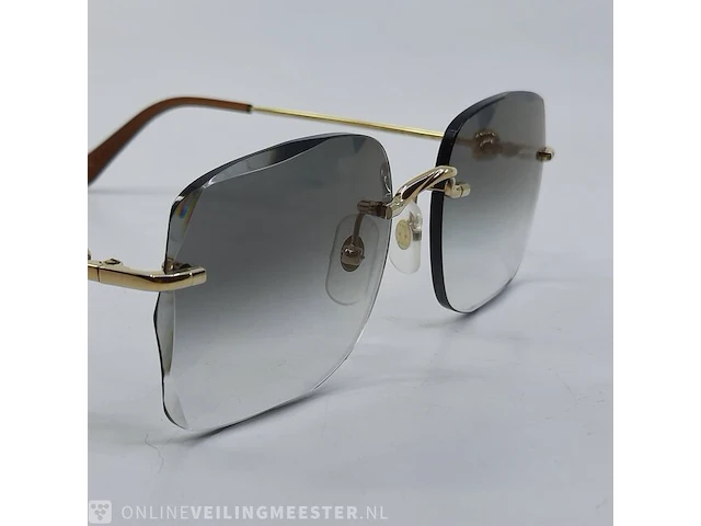 Zonnebril cartier, ct0378 - afbeelding 2 van  12