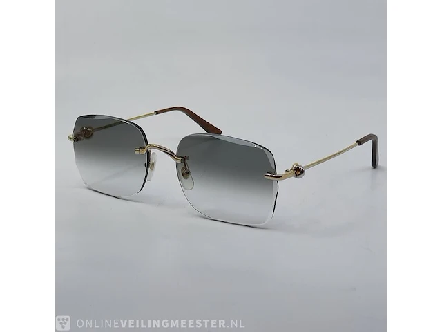 Zonnebril cartier, ct0378 - afbeelding 1 van  12