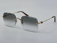 Zonnebril cartier, ct0378 - afbeelding 1 van  12