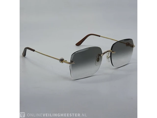 Zonnebril cartier, ct0378 - afbeelding 6 van  12