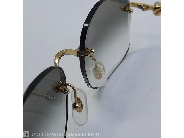 Zonnebril cartier, ct0378 - afbeelding 11 van  12
