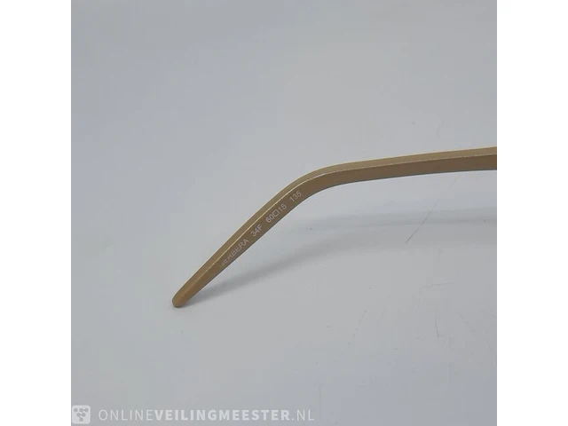 Zonnebril roberto cavelli, gerbera - afbeelding 9 van  12