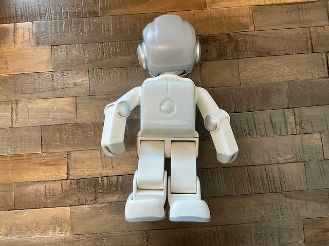 Zora bots robin mini robot - afbeelding 3 van  4
