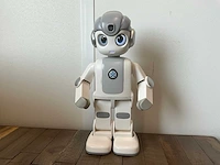 Zora bots robin mini robot