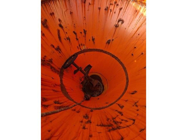 Zoutstrooier, rauch, sa 250 type 1, 2010 - afbeelding 8 van  9