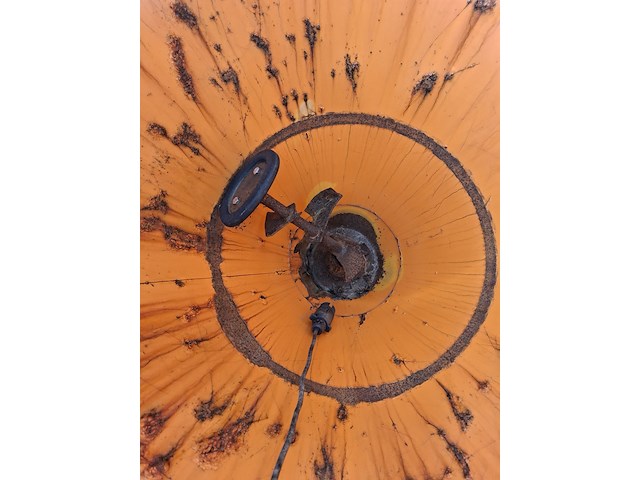 Zoutstrooier, rauch, sa 250 type 1, 2010 - afbeelding 9 van  9