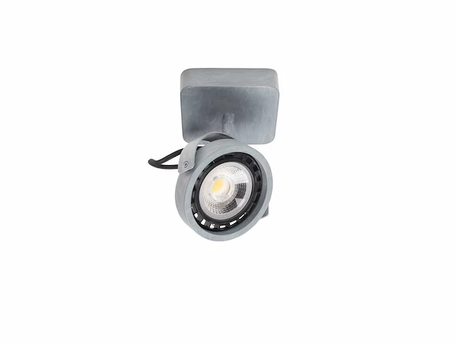 Zuiver 1-licht spot (10x) - afbeelding 1 van  7