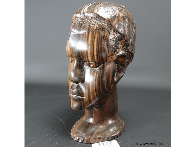 Zware coromandelhouten buste - afbeelding 1 van  5